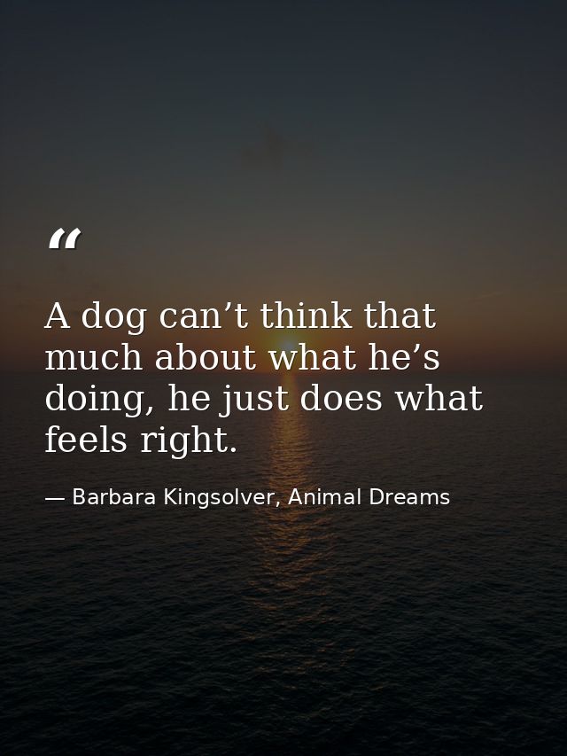 A dog can’t think that much about what he’s doing, he just does what feels right. — Barbara Kingsolver, Animal Dreams