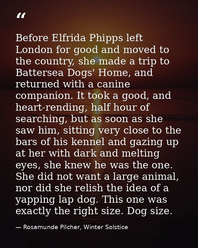 Before Elfrida Phipps left London for good and moved to the country, she made a trip to Battersea Dogs' Home, and return — Rosamunde Pilcher, Winter Solstice