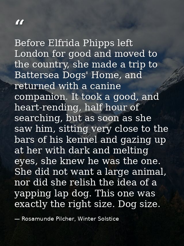 Before Elfrida Phipps left London for good and moved to the country, she made a trip to Battersea Dogs' Home, and return — Rosamunde Pilcher, Winter Solstice