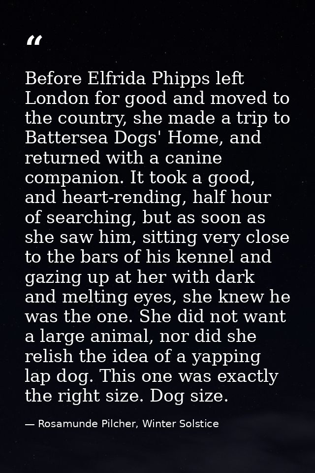 Before Elfrida Phipps left London for good and moved to the country, she made a trip to Battersea Dogs' Home, and return — Rosamunde Pilcher, Winter Solstice