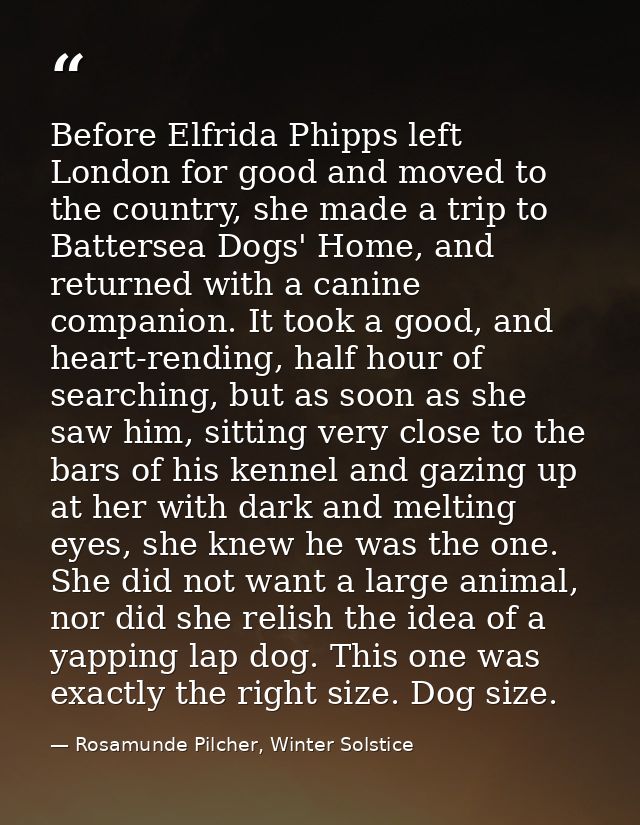 Before Elfrida Phipps left London for good and moved to the country, she made a trip to Battersea Dogs' Home, and return — Rosamunde Pilcher, Winter Solstice