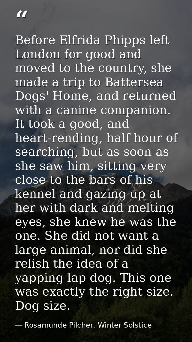 Before Elfrida Phipps left London for good and moved to the country, she made a trip to Battersea Dogs' Home, and return — Rosamunde Pilcher, Winter Solstice