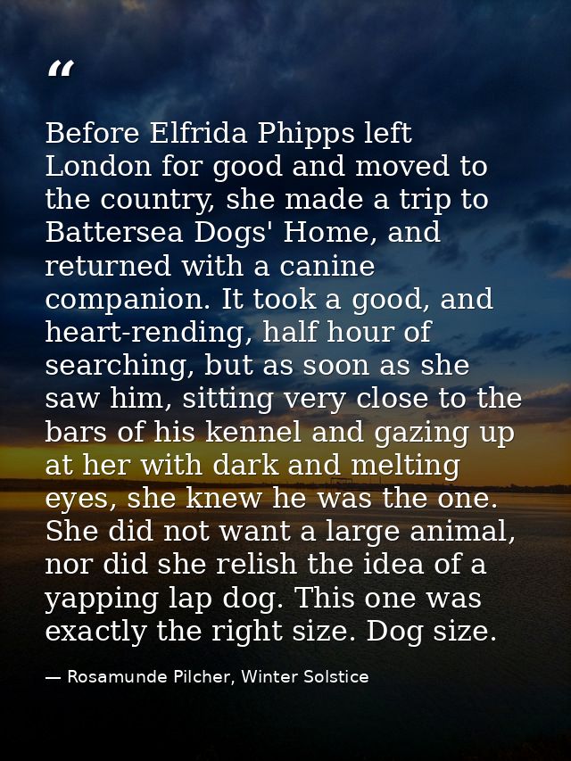 Before Elfrida Phipps left London for good and moved to the country, she made a trip to Battersea Dogs' Home, and return — Rosamunde Pilcher, Winter Solstice