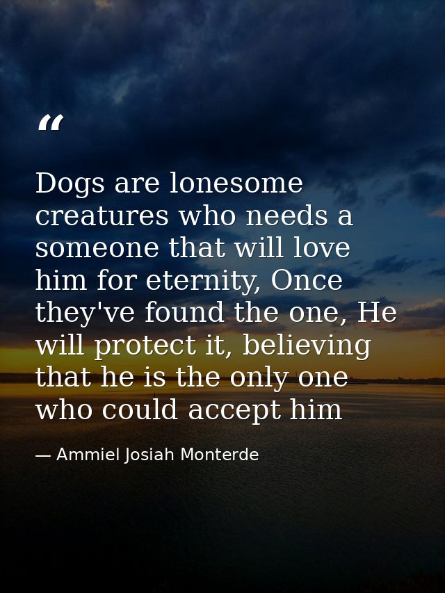 Dogs are lonesome creatures who needs a someone that will love him for eternity, Once they've found the one, He will pro — Ammiel Josiah Monterde