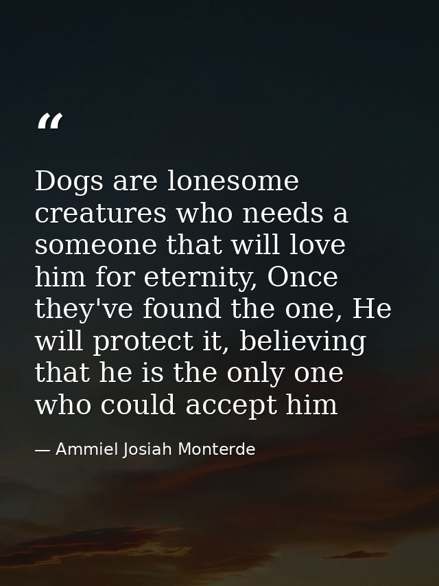 Dogs are lonesome creatures who needs a someone that will love him for eternity, Once they've found the one, He will pro — Ammiel Josiah Monterde