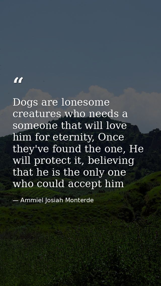 Dogs are lonesome creatures who needs a someone that will love him for eternity, Once they've found the one, He will pro — Ammiel Josiah Monterde