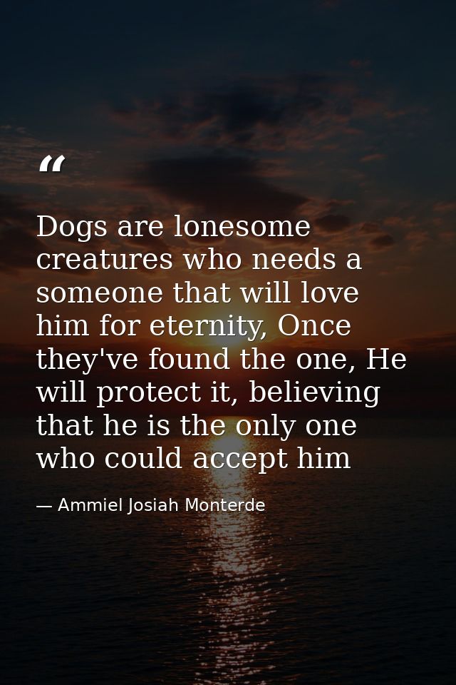 Dogs are lonesome creatures who needs a someone that will love him for eternity, Once they've found the one, He will pro — Ammiel Josiah Monterde