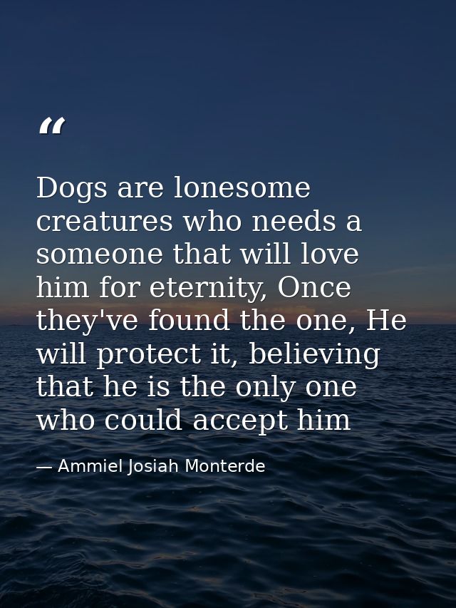 Dogs are lonesome creatures who needs a someone that will love him for eternity, Once they've found the one, He will pro — Ammiel Josiah Monterde