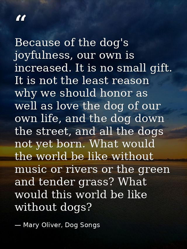 Because of the dog's joyfulness, our own is increased. It is no small gift. It is not the least reason why we should hon — Mary Oliver, Dog Songs