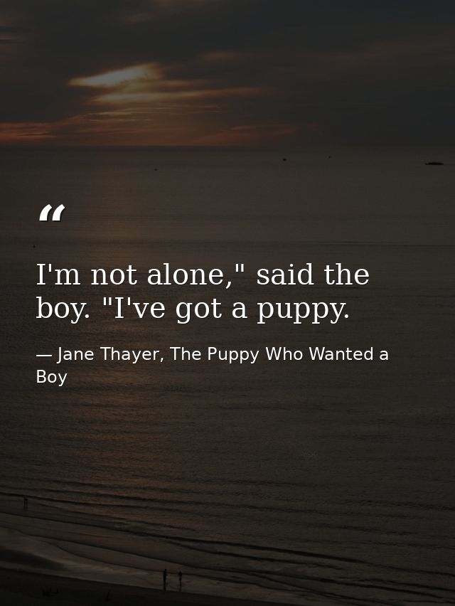 I'm not alone," said the boy. "I've got a puppy. — Jane Thayer, The Puppy Who Wanted a Boy