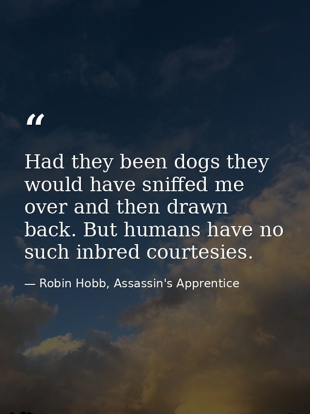Had they been dogs they would have sniffed me over and then drawn back. But humans have no such inbred courtesies. — Robin Hobb, Assassin's Apprentice