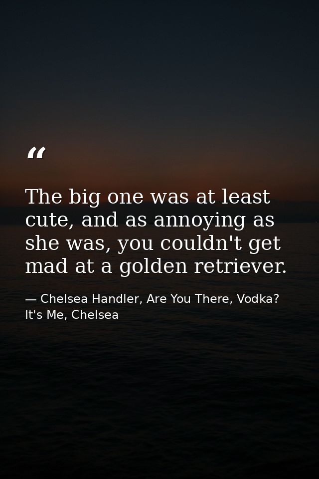 The big one was at least cute, and as annoying as she was, you couldn't get mad at a golden retriever. — Chelsea Handler, Are You There, Vodka? It's Me, Chelsea