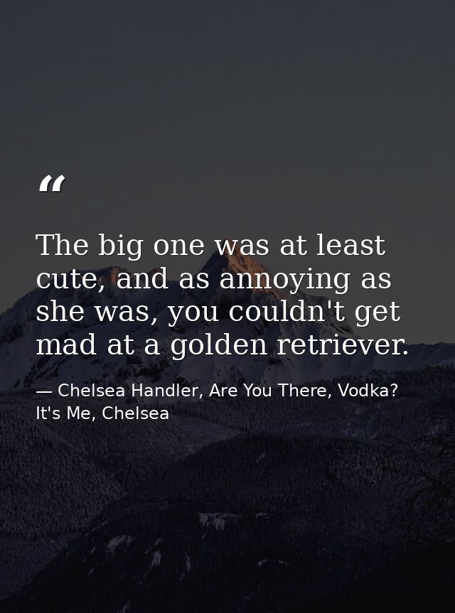 The big one was at least cute, and as annoying as she was, you couldn't get mad at a golden retriever. — Chelsea Handler, Are You There, Vodka? It's Me, Chelsea