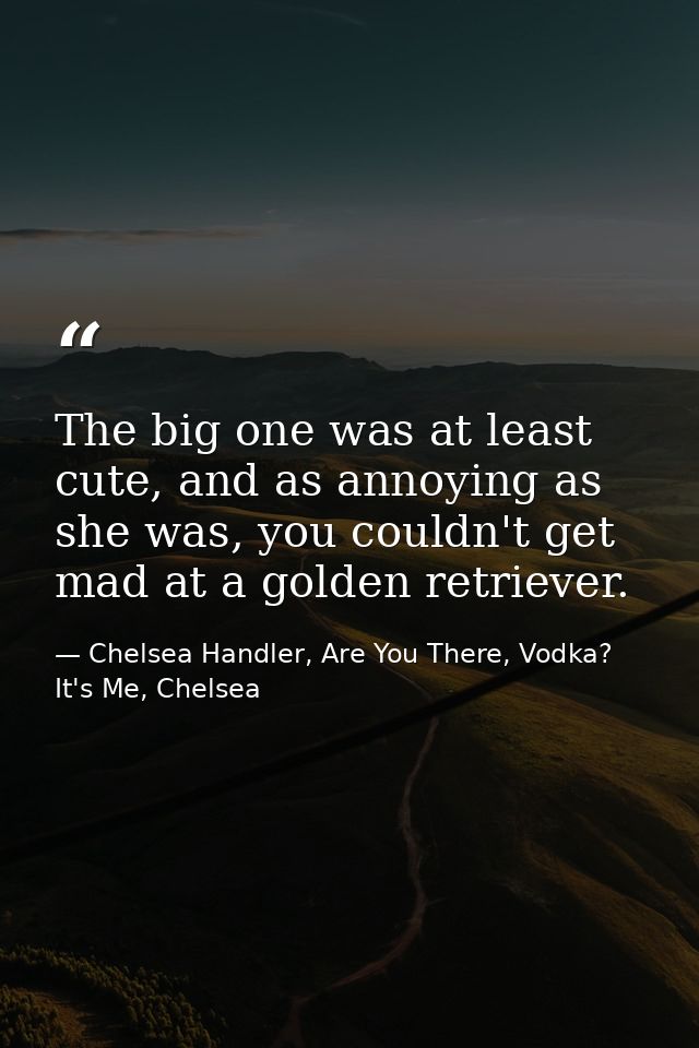 The big one was at least cute, and as annoying as she was, you couldn't get mad at a golden retriever. — Chelsea Handler, Are You There, Vodka? It's Me, Chelsea