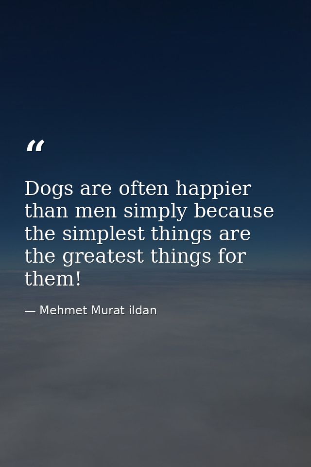 Dogs are often happier than men simply because the simplest things are the greatest things for them! — Mehmet Murat ildan