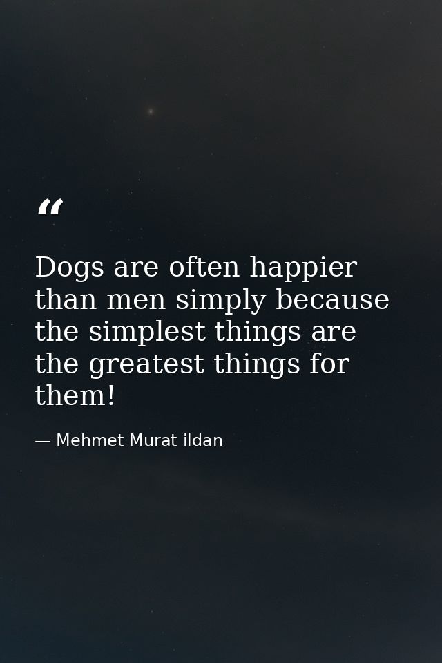Dogs are often happier than men simply because the simplest things are the greatest things for them! — Mehmet Murat ildan