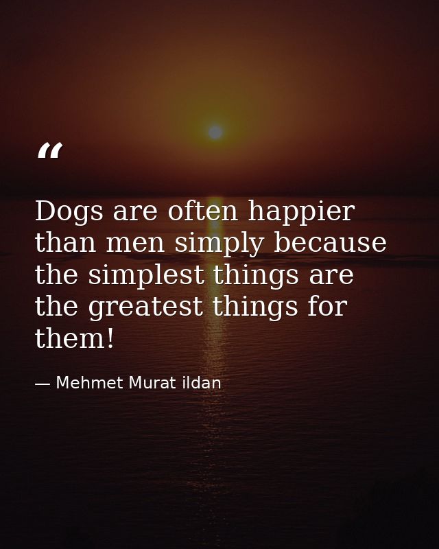 Dogs are often happier than men simply because the simplest things are the greatest things for them! — Mehmet Murat ildan
