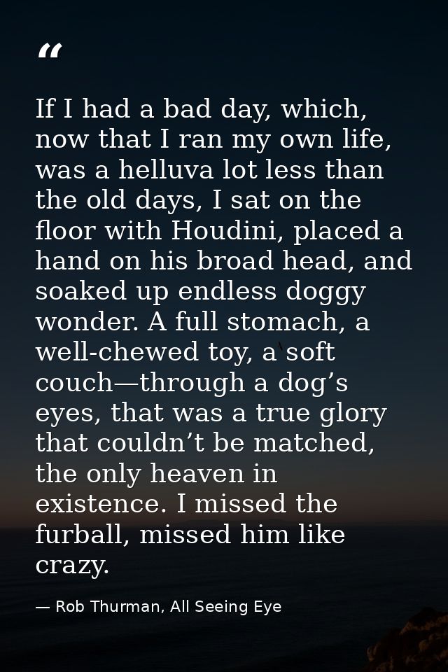 If I had a bad day, which, now that I ran my own life, was a helluva lot less than the old days, I sat on the floor with — Rob Thurman, All Seeing Eye
