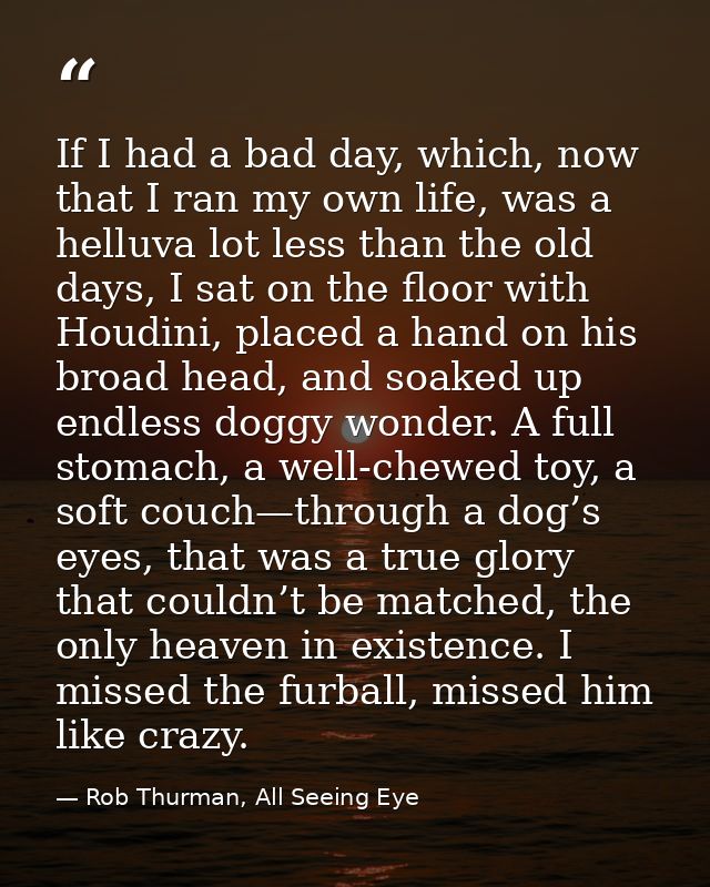 If I had a bad day, which, now that I ran my own life, was a helluva lot less than the old days, I sat on the floor with — Rob Thurman, All Seeing Eye