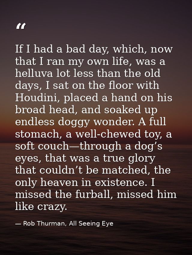 If I had a bad day, which, now that I ran my own life, was a helluva lot less than the old days, I sat on the floor with — Rob Thurman, All Seeing Eye