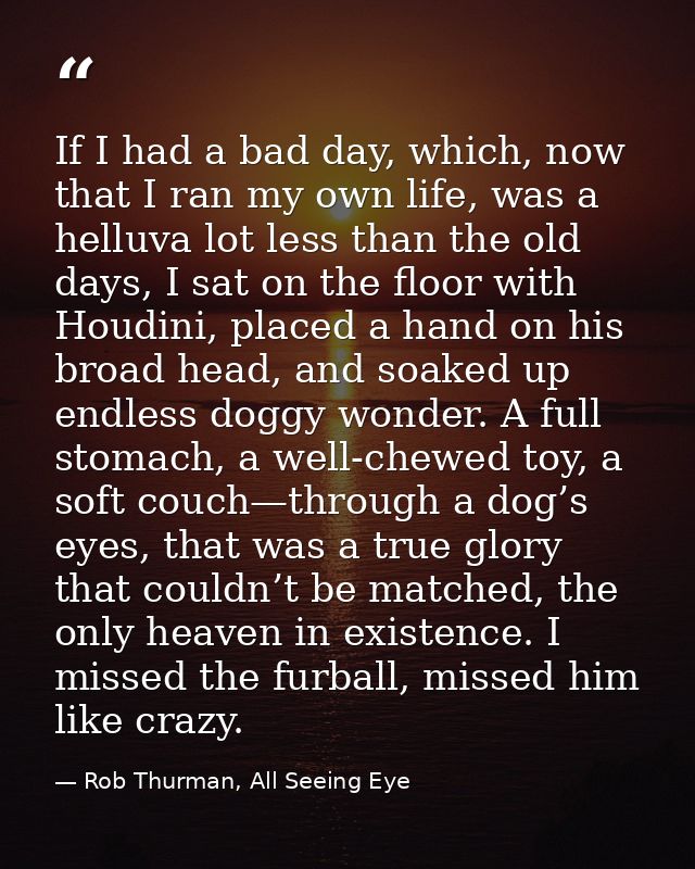 If I had a bad day, which, now that I ran my own life, was a helluva lot less than the old days, I sat on the floor with — Rob Thurman, All Seeing Eye