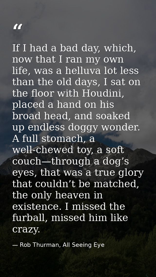 If I had a bad day, which, now that I ran my own life, was a helluva lot less than the old days, I sat on the floor with — Rob Thurman, All Seeing Eye