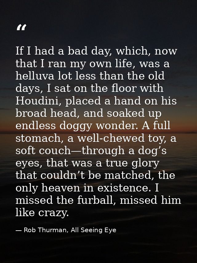 If I had a bad day, which, now that I ran my own life, was a helluva lot less than the old days, I sat on the floor with — Rob Thurman, All Seeing Eye