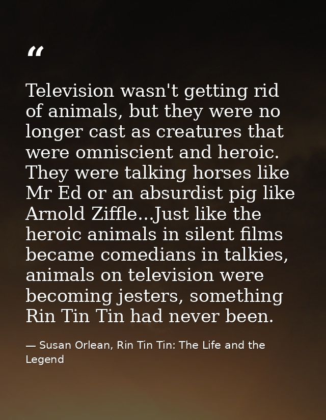 Television wasn't getting rid of animals, but they were no longer cast as creatures that were omniscient and heroic. The — Susan Orlean, Rin Tin Tin: The Life and the Legend