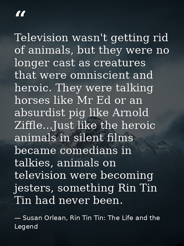 Television wasn't getting rid of animals, but they were no longer cast as creatures that were omniscient and heroic. The — Susan Orlean, Rin Tin Tin: The Life and the Legend