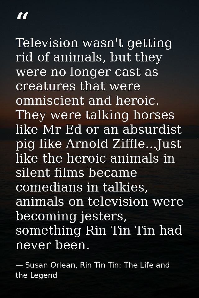 Television wasn't getting rid of animals, but they were no longer cast as creatures that were omniscient and heroic. The — Susan Orlean, Rin Tin Tin: The Life and the Legend