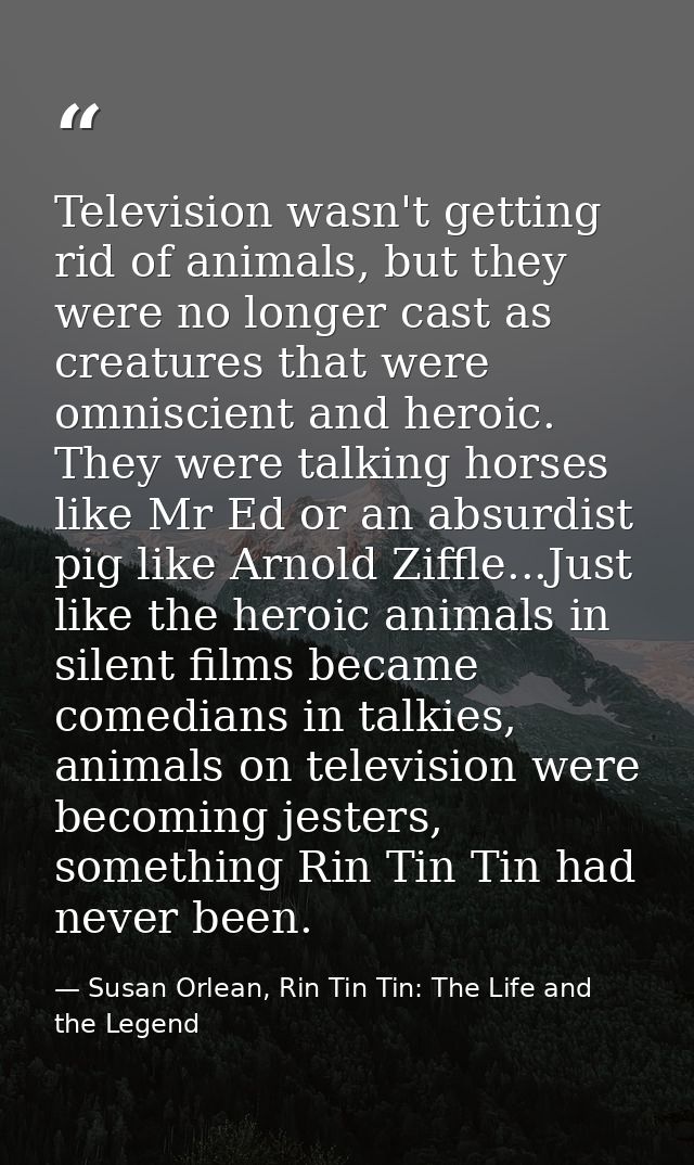 Television wasn't getting rid of animals, but they were no longer cast as creatures that were omniscient and heroic. The — Susan Orlean, Rin Tin Tin: The Life and the Legend