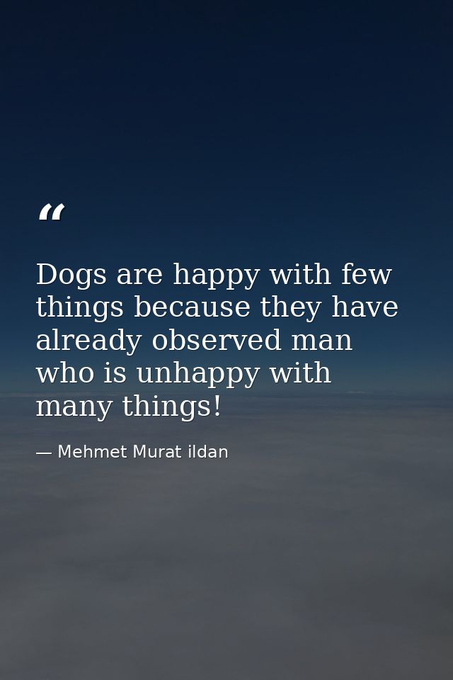 Dogs are happy with few things because they have already observed man who is unhappy with many things! — Mehmet Murat ildan