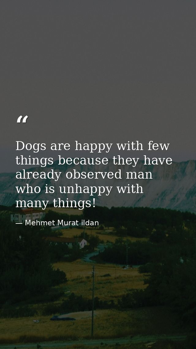 Dogs are happy with few things because they have already observed man who is unhappy with many things! — Mehmet Murat ildan