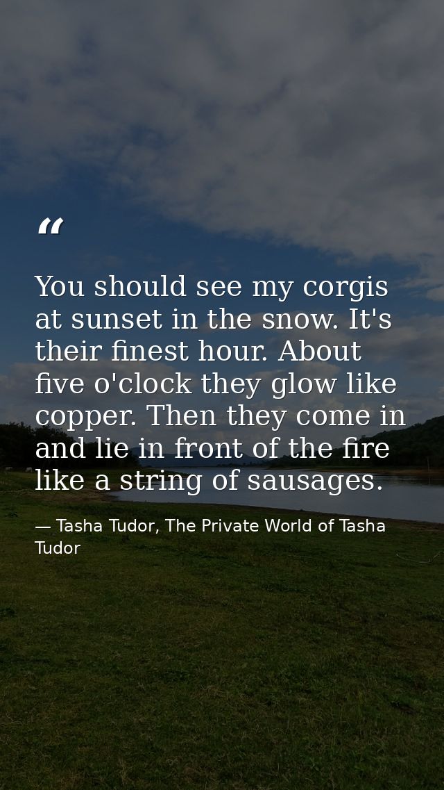 You should see my corgis at sunset in the snow. It's their finest hour. About five o'clock they glow like copper. Then t — Tasha Tudor, The Private World of Tasha Tudor