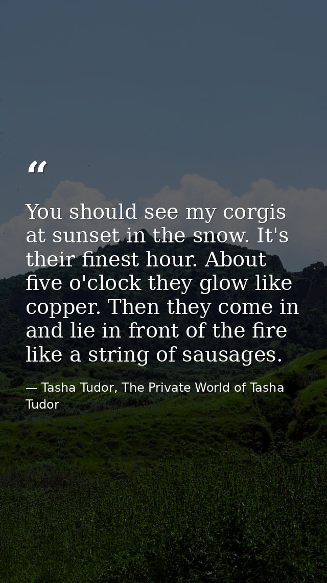 You should see my corgis at sunset in the snow. It's their finest hour. About five o'clock they glow like copper. Then t — Tasha Tudor, The Private World of Tasha Tudor