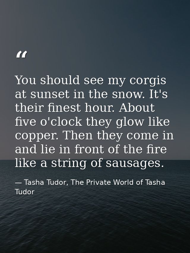You should see my corgis at sunset in the snow. It's their finest hour. About five o'clock they glow like copper. Then t — Tasha Tudor, The Private World of Tasha Tudor