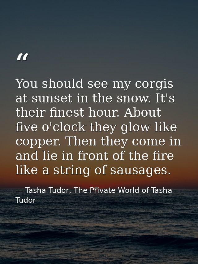 You should see my corgis at sunset in the snow. It's their finest hour. About five o'clock they glow like copper. Then t — Tasha Tudor, The Private World of Tasha Tudor