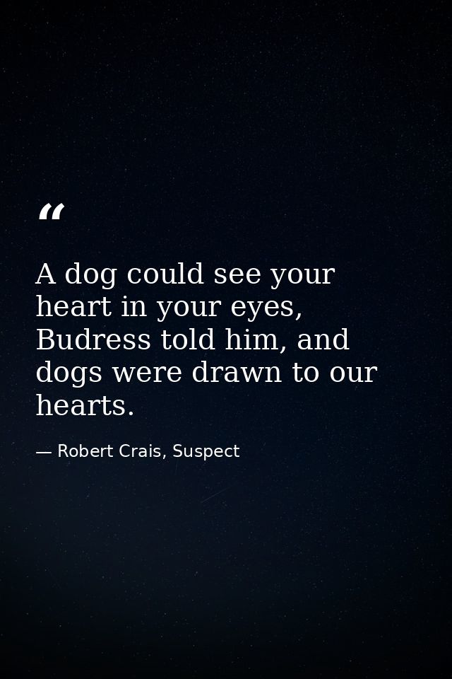A dog could see your heart in your eyes, Budress told him, and dogs were drawn to our hearts. — Robert Crais, Suspect