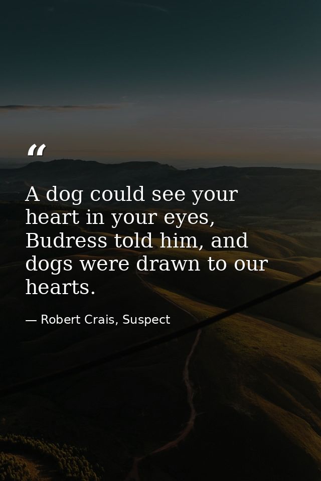 A dog could see your heart in your eyes, Budress told him, and dogs were drawn to our hearts. — Robert Crais, Suspect
