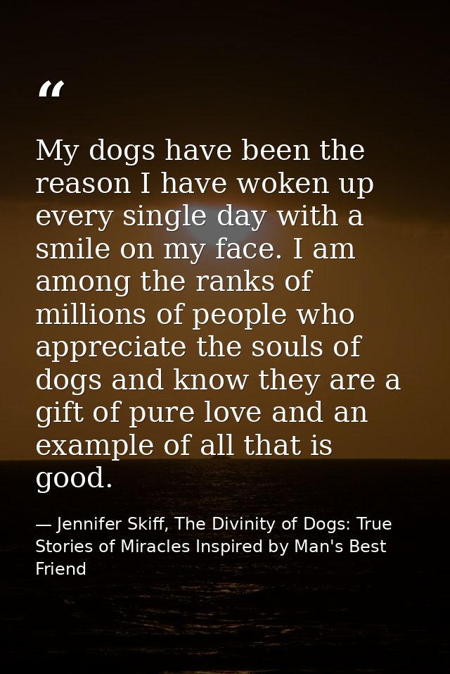 My dogs have been the reason I have woken up every single day with a smile on my face. I am among the ranks of millions  — Jennifer Skiff, The Divinity of Dogs: True Stories of Miracles Inspired by Man's Best Friend