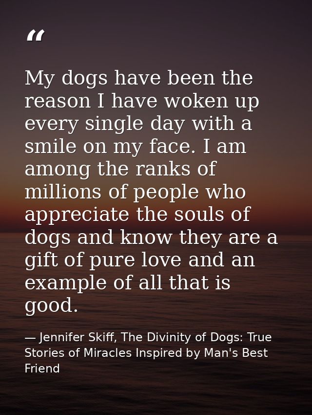 My dogs have been the reason I have woken up every single day with a smile on my face. I am among the ranks of millions  — Jennifer Skiff, The Divinity of Dogs: True Stories of Miracles Inspired by Man's Best Friend