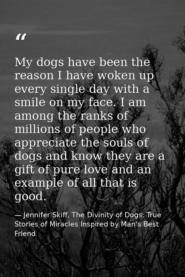 My dogs have been the reason I have woken up every single day with a smile on my face. I am among the ranks of millions  — Jennifer Skiff, The Divinity of Dogs: True Stories of Miracles Inspired by Man's Best Friend