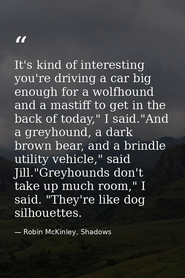It's kind of interesting you're driving a car big enough for a wolfhound and a mastiff to get in the back of today," I s — Robin McKinley, Shadows