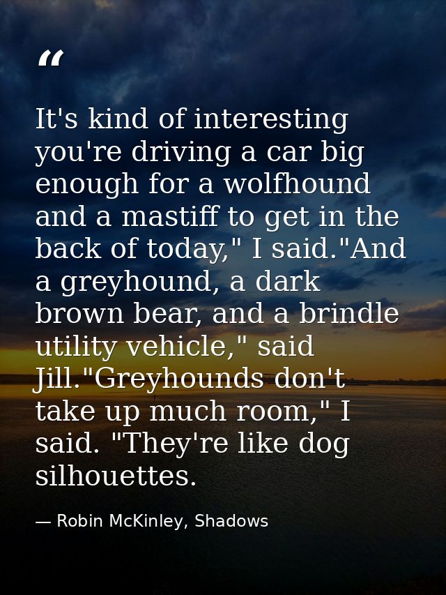 It's kind of interesting you're driving a car big enough for a wolfhound and a mastiff to get in the back of today," I s — Robin McKinley, Shadows
