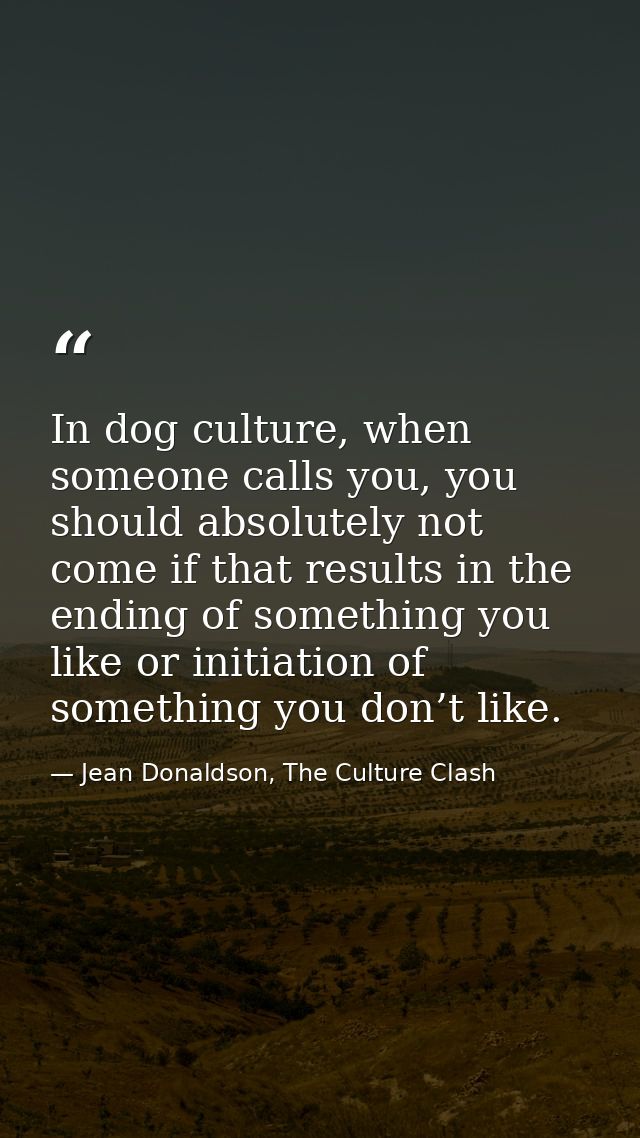 In dog culture, when someone calls you, you should absolutely not come if that results in the ending of something you li — Jean Donaldson, The Culture Clash