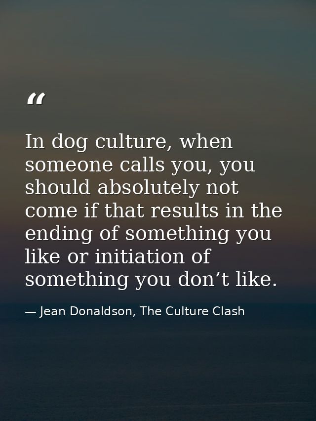 In dog culture, when someone calls you, you should absolutely not come if that results in the ending of something you li — Jean Donaldson, The Culture Clash