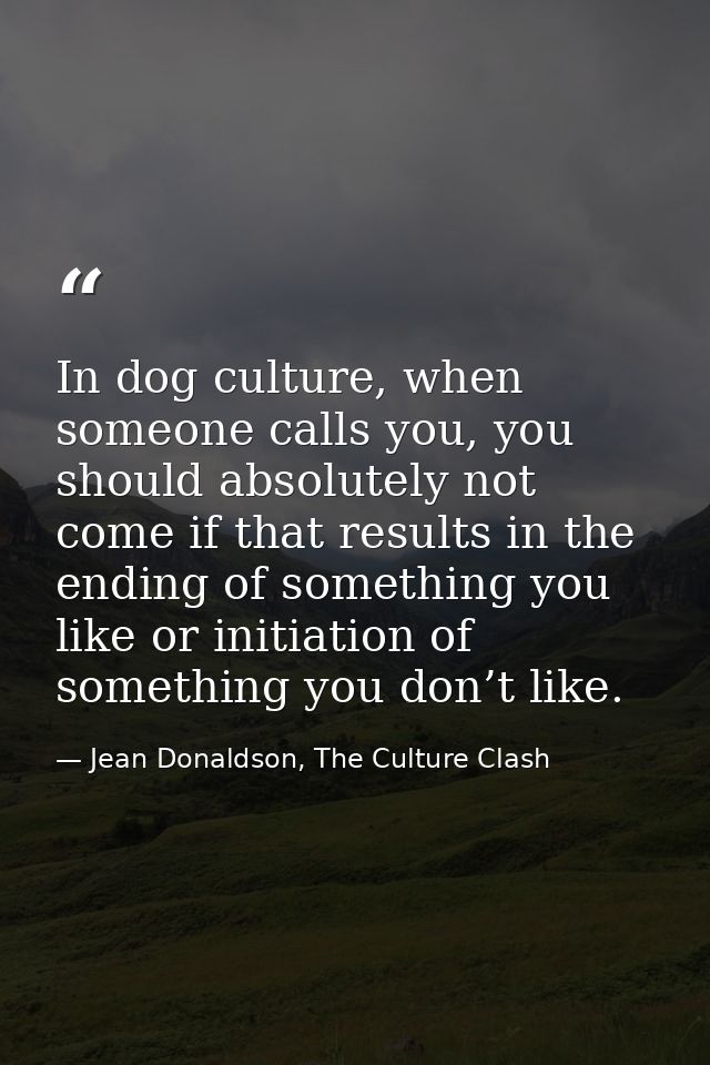 In dog culture, when someone calls you, you should absolutely not come if that results in the ending of something you li — Jean Donaldson, The Culture Clash