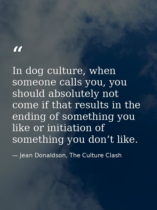 In dog culture, when someone calls you, you should absolutely not come if that results in the ending of something you li — Jean Donaldson, The Culture Clash
