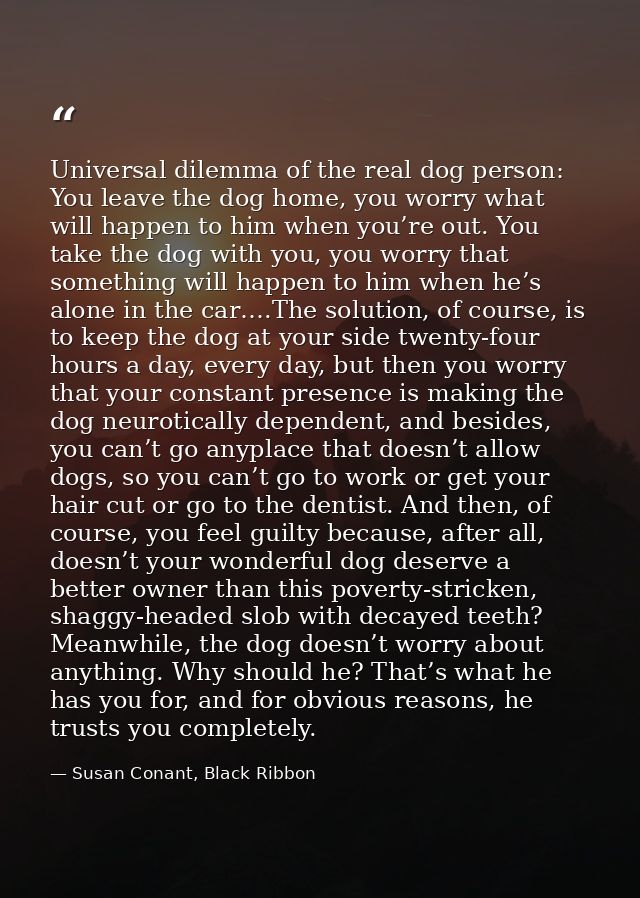 Universal dilemma of the real dog person: You leave the dog home, you worry what will happen to him when you’re out. You — Susan Conant, Black Ribbon