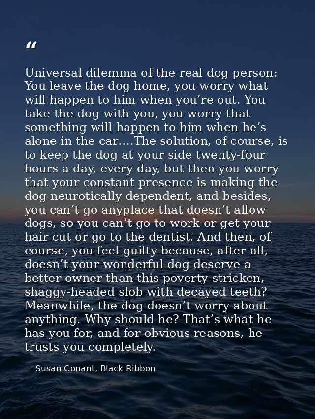 Universal dilemma of the real dog person: You leave the dog home, you worry what will happen to him when you’re out. You — Susan Conant, Black Ribbon